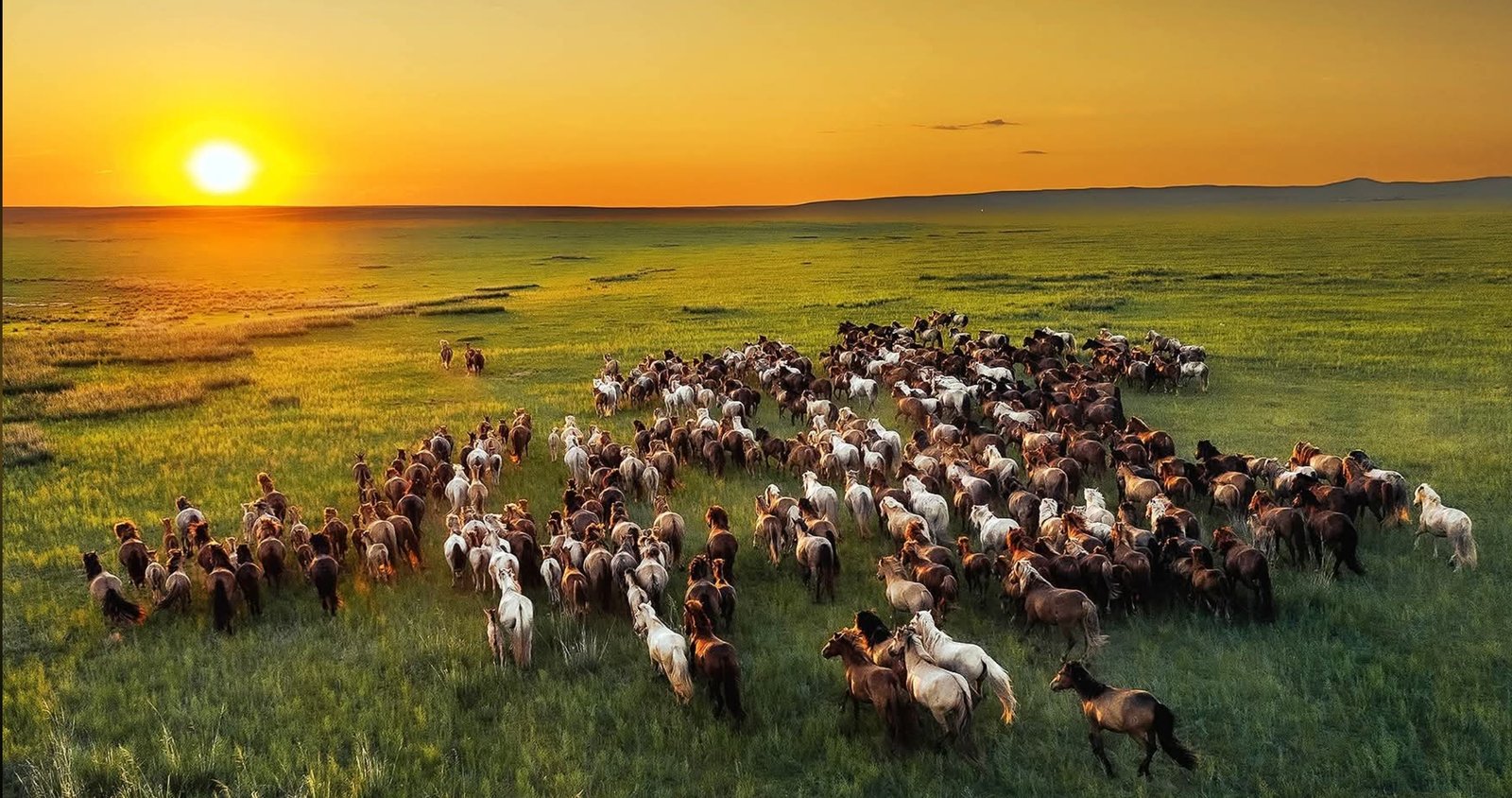 Image hover effect image